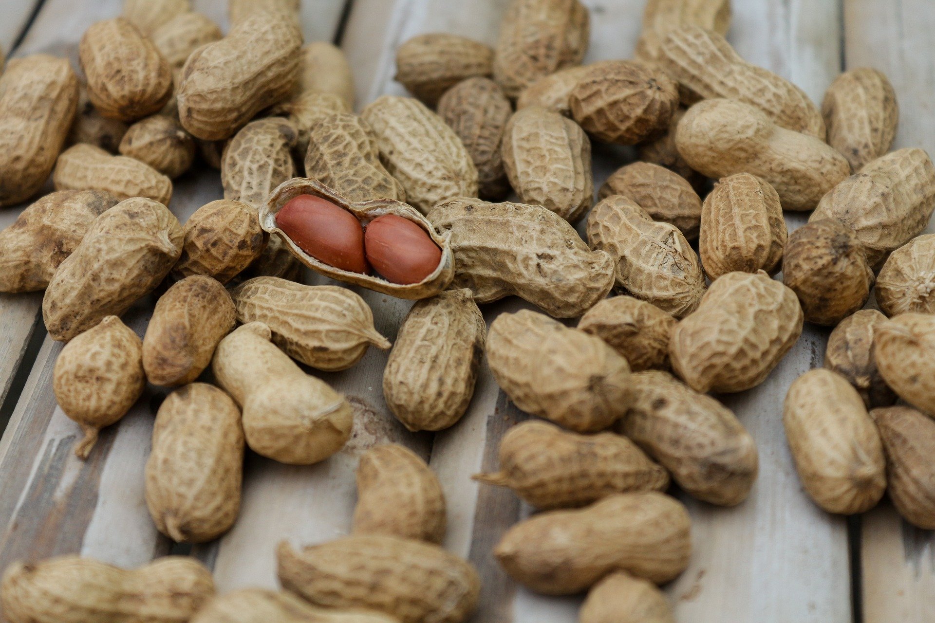 peanuts 1850809 1920