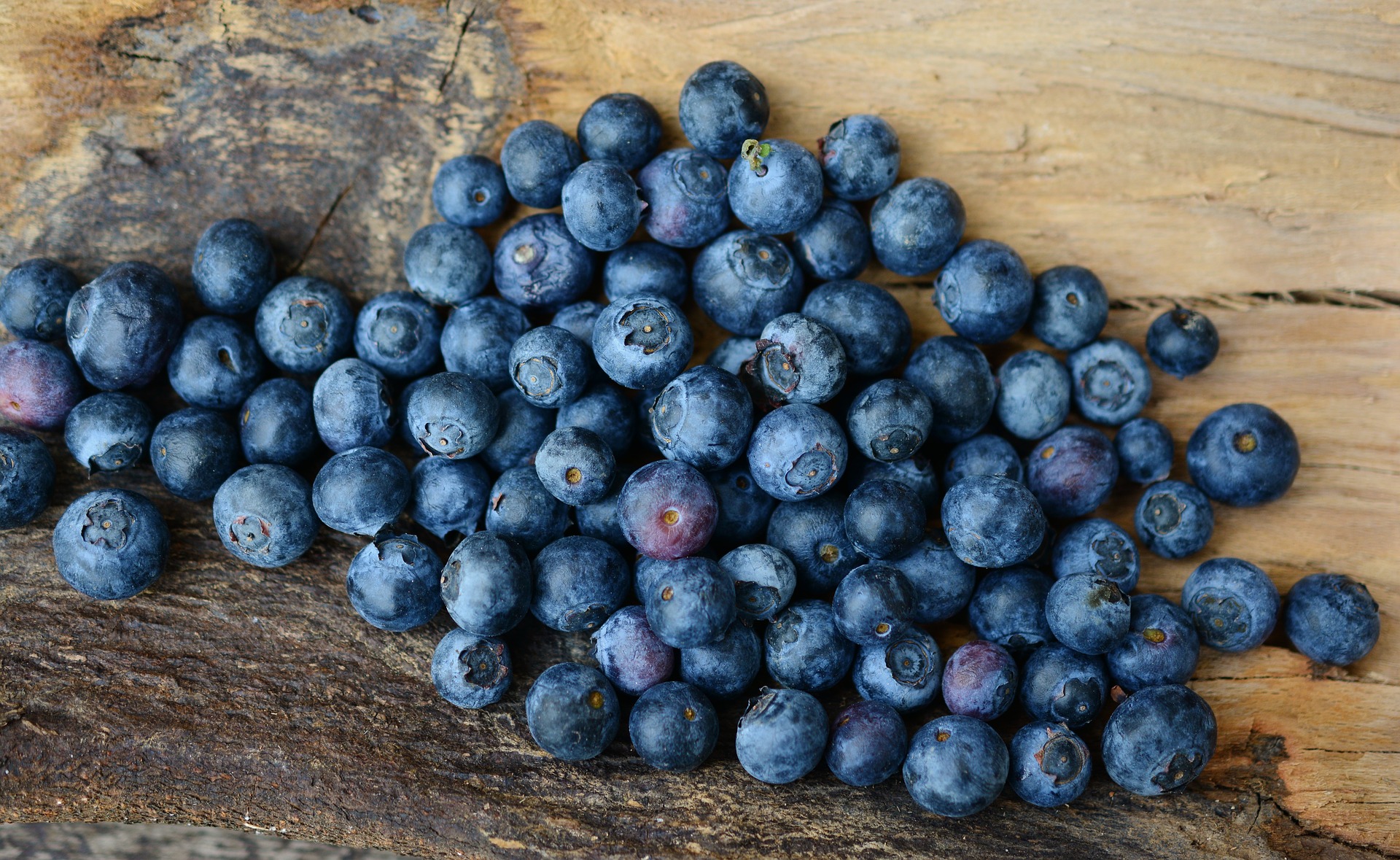 blueberries 2270379 1920