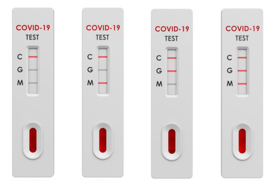 rapid antibody test 17305d1874b medium